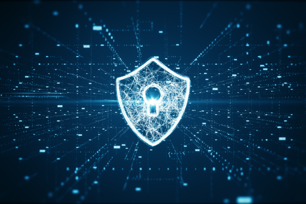 Cyber Forensic